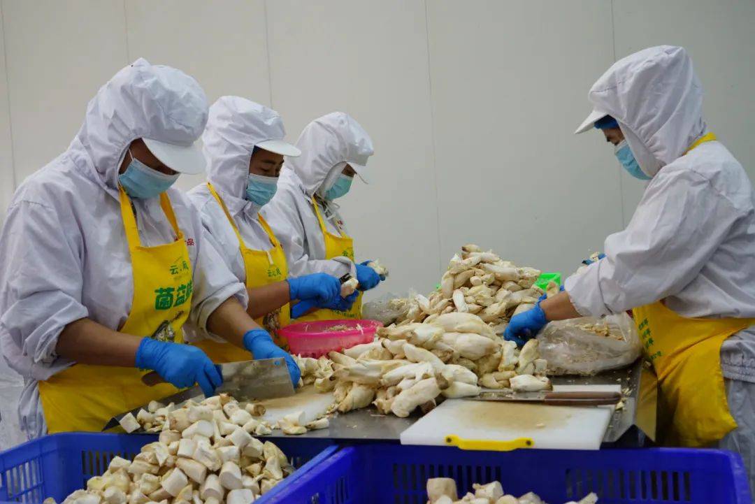 云南易门益生绿色食品有限责任公司产品研发中心——科技创新领航